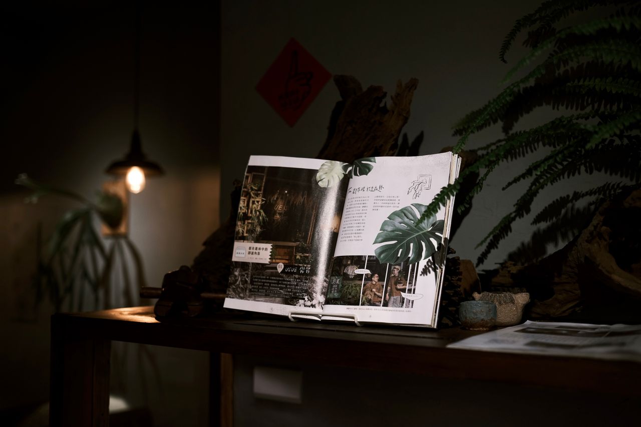 An open magazine on a wooden table, enhanced by warm lighting and leafy ferns, captures a cozy interior vibe.